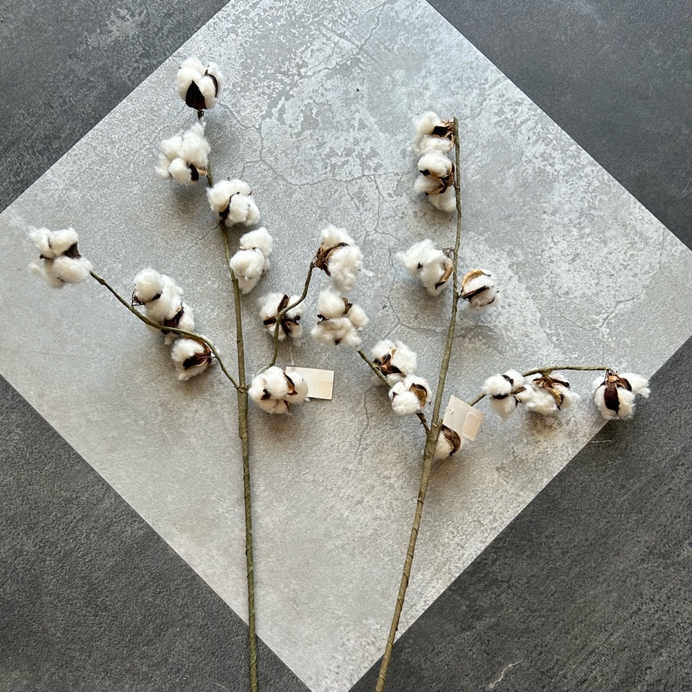 NWT, Cotton Stem Home Accent in White, set of 2